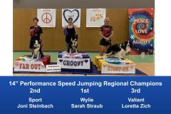 Central-Regional-2019-August-15-18-Gardner-KS-Steeplechase-Performance-Speed-Jumping-Tournament-Champions-9
