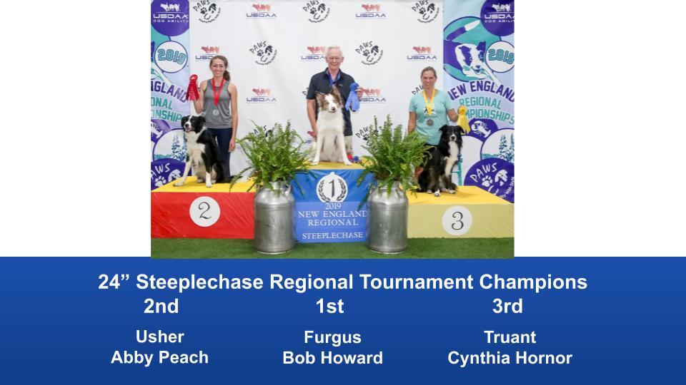New-England-Regional-2019-August-16-18-Steeplechase-Performance-Speed-Jumping-Tournament-Champions-1