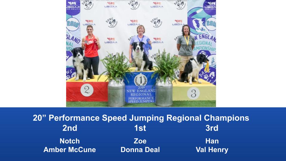 New-England-Regional-2019-August-16-18-Steeplechase-Performance-Speed-Jumping-Tournament-Champions-7