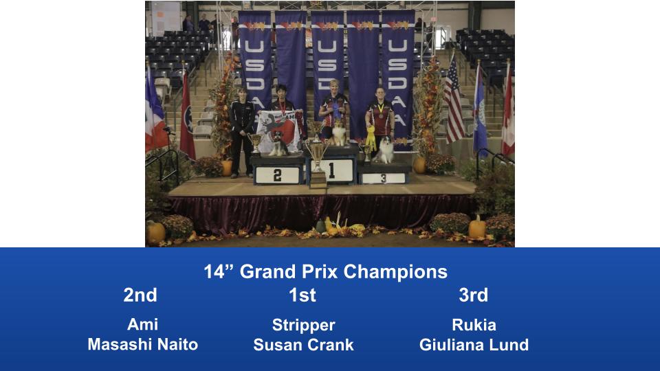 2019-Cynosport-Grand-Prix-Champions-3