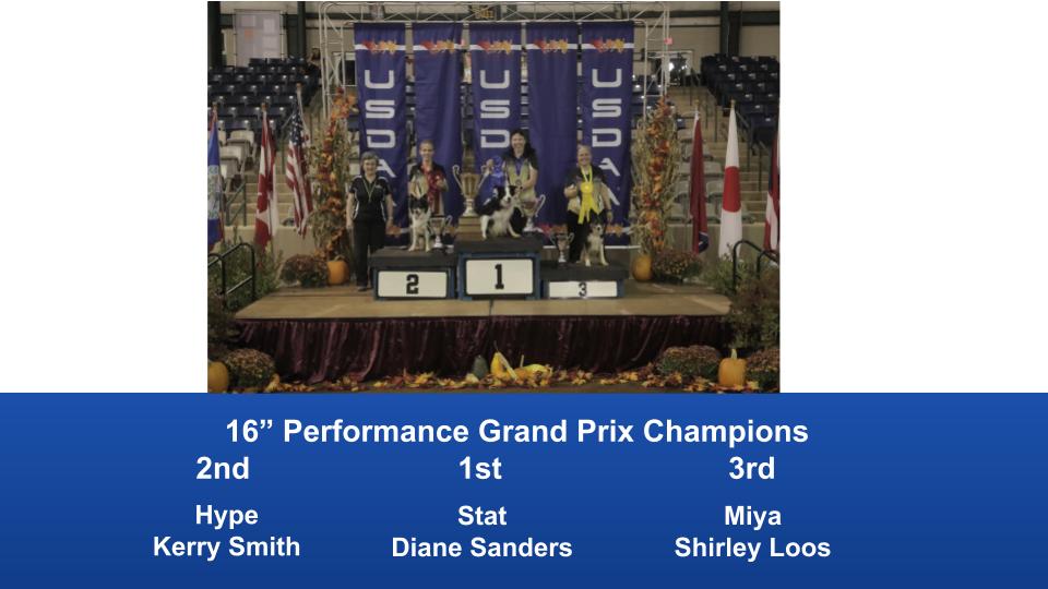 2019-Cynosport-Performance-Grand-Prix-Champions-5