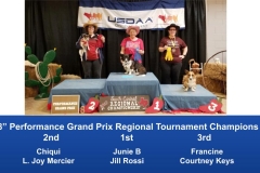 South-Central-Regional-2019-May-10-12-Belton-TX-Grand-Prix-Performance-Grand-Prix-Regional-Tournament-Champions-11