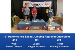 South-Central-Regional-2019-May-10-12-Belton-TX-Steeplechase-Performance-Speed-Jumping-Tournament-Champions-11