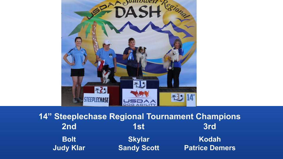Southwest-Regional-2019-June-28-30-Norco-CA-Steeplechase-Performance-Speed-Jumping-Tournament-Champions-5