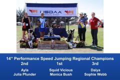 Western-Regional-2019-Aug-31-Sept-2-Steeplechase-Performance-Speed-Jumping-Tournament-Champions-9