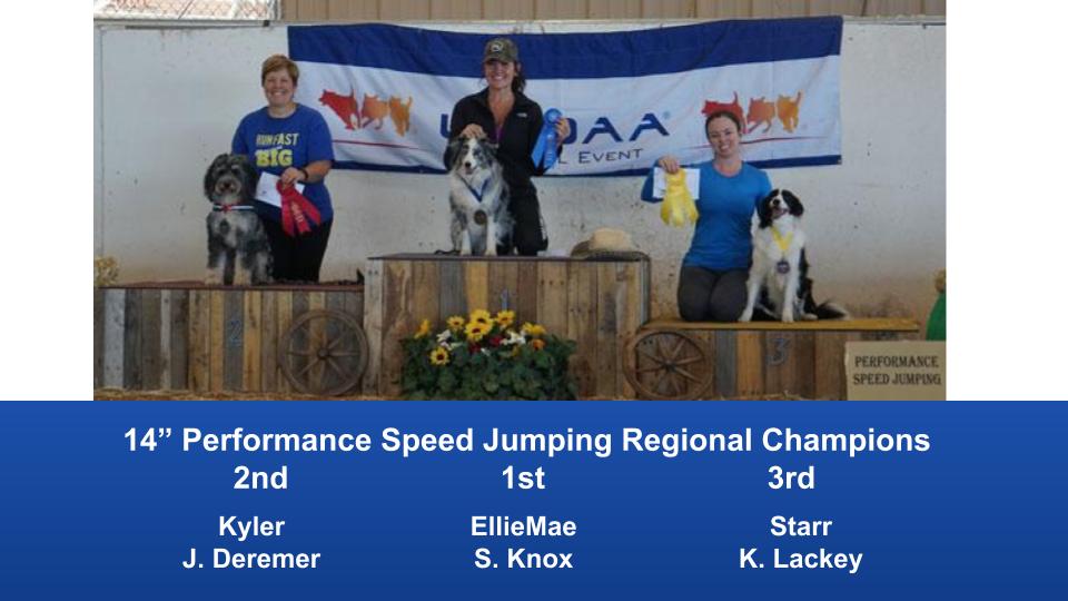 The Wild West Regional 2019 March 8-10 Queen Creek, Arizona Steeplechase & Performance Speed Jumping Tournament Champions (10)