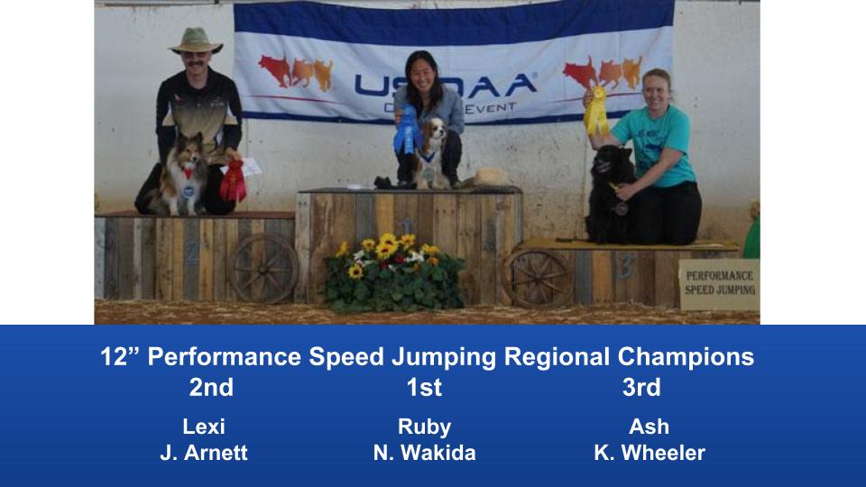 The Wild West Regional 2019 March 8-10 Queen Creek, Arizona Steeplechase & Performance Speed Jumping Tournament Champions (11)