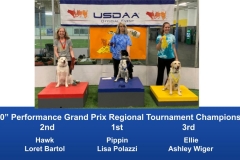 North-Central-Regional-2019-May-3-5-Brookfield-WI-Grand-Prix-_-Performance-Grand-Prix-Regional-Tournament-Champions-6