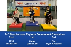 North-Central-Regional-2019-May-3-5-Brookfield-WI-Steeplechase-_-Performance-Speed-Jumping-Tournament-Champions-1