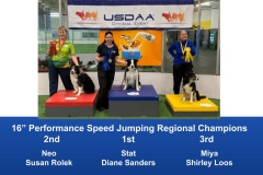 North-Central-Regional-2019-May-3-5-Brookfield-WI-Steeplechase-_-Performance-Speed-Jumping-Tournament-Champions