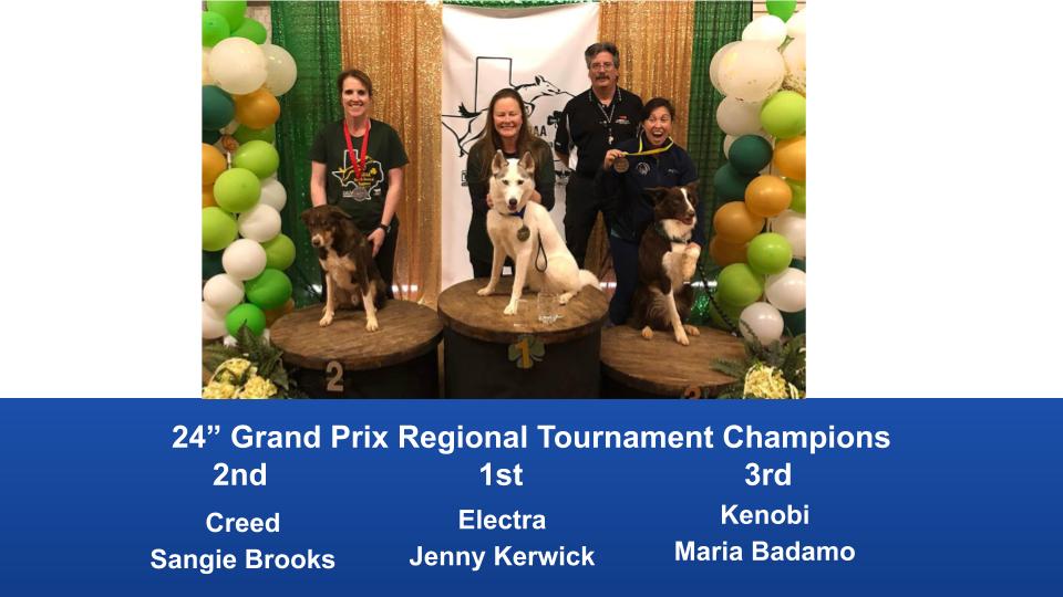 South-Central-Regional-2020-Grand-Prix-and-PGP-Regional-Tournament-Champions-1