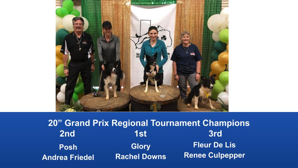 South-Central-Regional-2020-Grand-Prix-and-PGP-Regional-Tournament-Champions-3