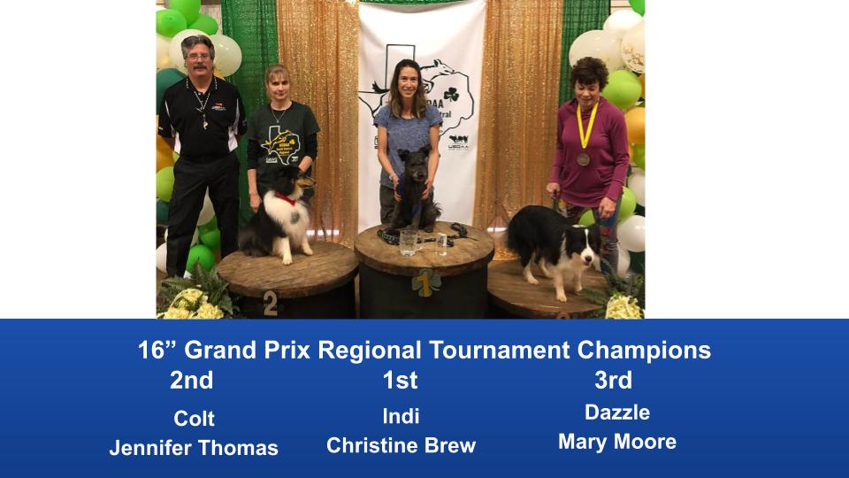 South-Central-Regional-2020-Grand-Prix-and-PGP-Regional-Tournament-Champions-4