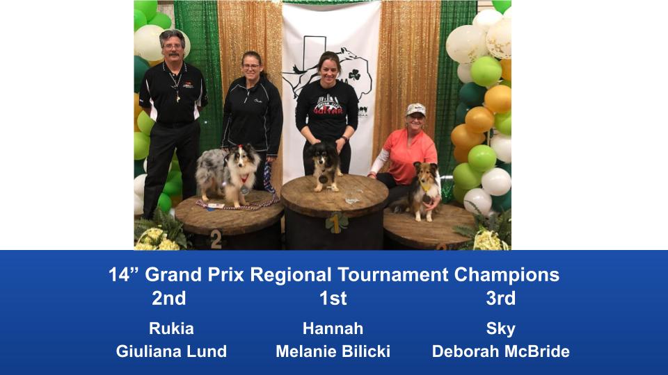 South-Central-Regional-2020-Grand-Prix-and-PGP-Regional-Tournament-Champions-5