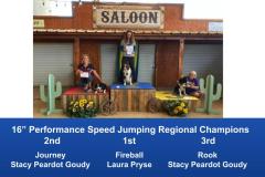 The-Wild-West-Regional-2020-Steeplechase-Performance-Speed-Jumping-Tournament-Champions-8