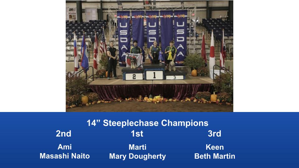 2019-Cynosport-Steeplechase-Champions-3