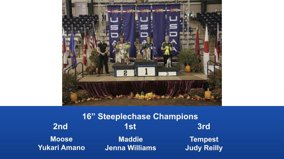2019-Cynosport-Steeplechase-Champions-4
