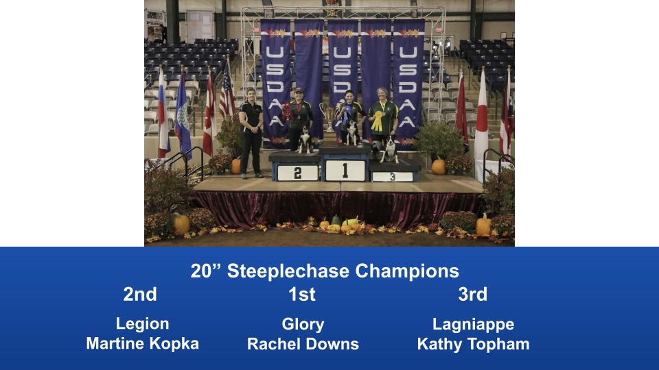 2019-Cynosport-Steeplechase-Champions-5
