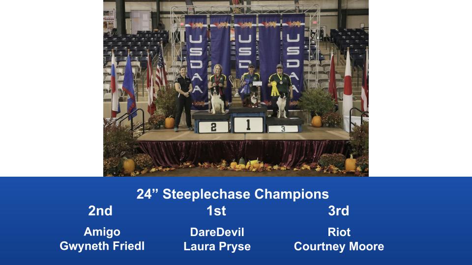 2019-Cynosport-Steeplechase-Champions-7