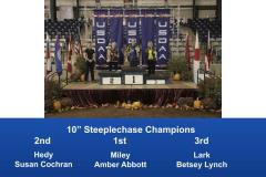 2019-Cynosport-Steeplechase-Champions-2